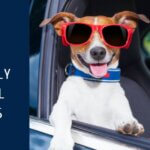 Pet-Friendly Car Rental & Tips To Avoid Additional Fees
